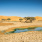 ALGÉRIE – GRAND SUD, la référence des voyages au Sud Sahara