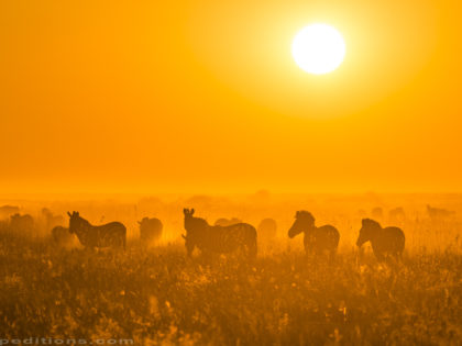 Botswana 2018